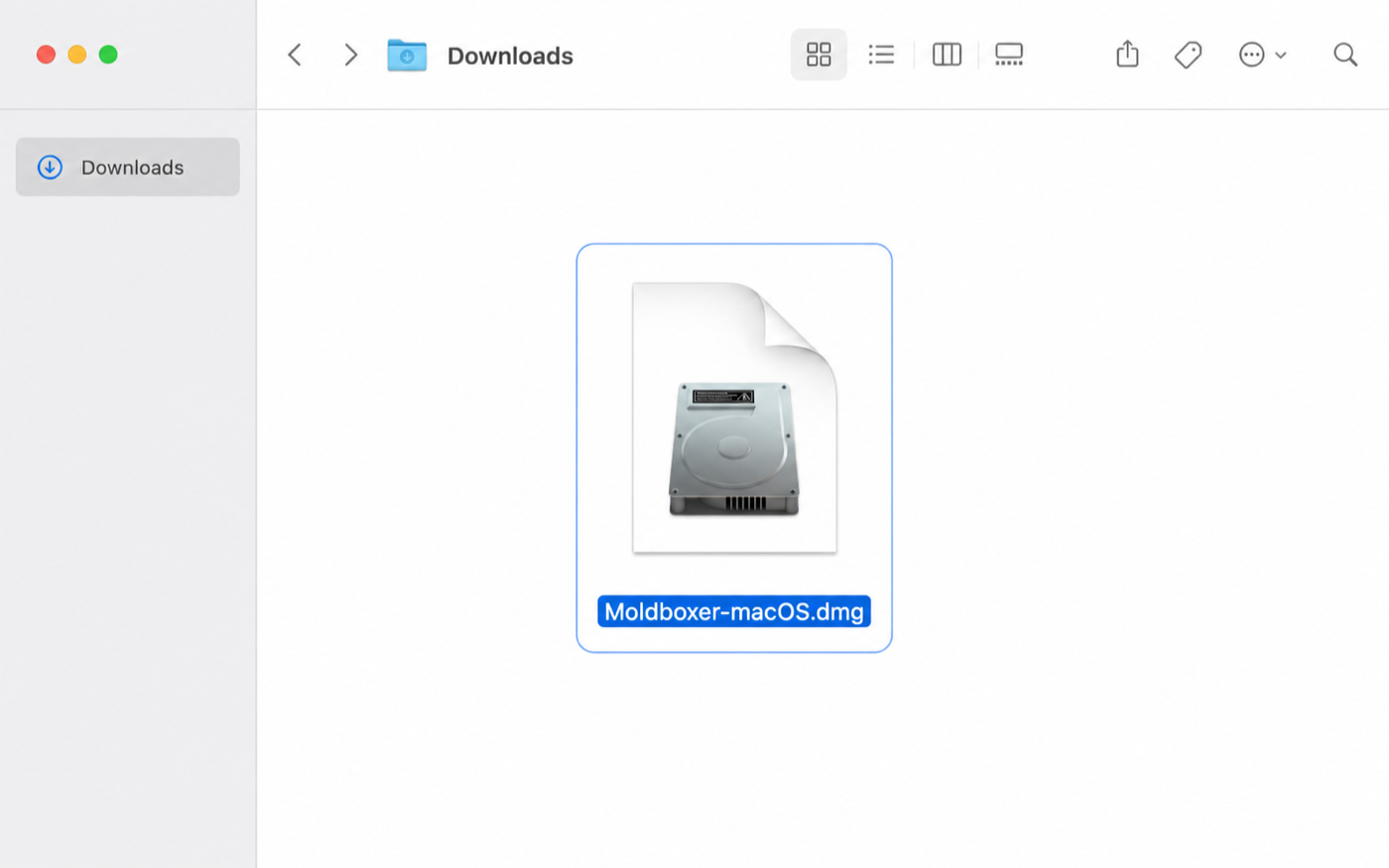 Open the downloaded Moldboxer DMG.